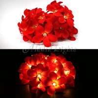 1 Set of 20 LED Deep Red Frangipani Flower Battery String Lights Christmas Gift Home Wedding Party Decoration Outdoor Table Garland Wreath Kings Warehouse