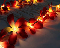1 Set of 20 LED Deep Red Frangipani Flower Battery String Lights Christmas Gift Home Wedding Party Decoration Outdoor Table Garland Wreath Kings Warehouse