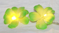 1 Set of 20 LED Green Frangipani Flower Battery String Lights Christmas Gift Home Wedding Party Decoration Outdoor Table Garland Wreath Kings Warehouse