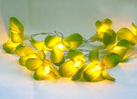 1 Set of 20 LED Green Frangipani Flower Battery String Lights Christmas Gift Home Wedding Party Decoration Outdoor Table Garland Wreath Kings Warehouse
