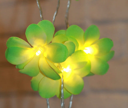 1 Set of 20 LED Green Frangipani Flower Battery String Lights Christmas Gift Home Wedding Party Decoration Outdoor Table Garland Wreath Kings Warehouse