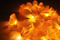 1 Set of 20 LED Orange Frangipani Flower Battery String Lights Christmas Gift Home Wedding Party Decoration Outdoor Table Garland Wreath Kings Warehouse