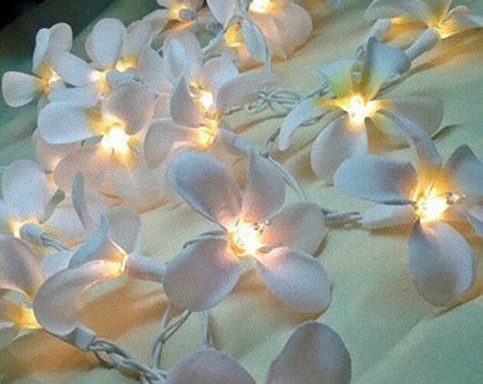 1 Set of 20 LED White Frangipani Flower Battery String Lights Christmas Gift Home Wedding Beach Party Decoration Outdoor Table Centrepiece Occasions Kings Warehouse
