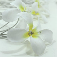 1 Set of 20 LED White Frangipani Flower Battery String Lights Christmas Gift Home Wedding Beach Party Decoration Outdoor Table Centrepiece Occasions Kings Warehouse