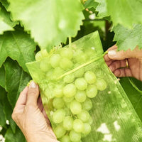 100PCS 15*20cm Fruit Net Bags Agriculture Garden Vegetable Protection Mesh Insect Proof Kings Warehouse 