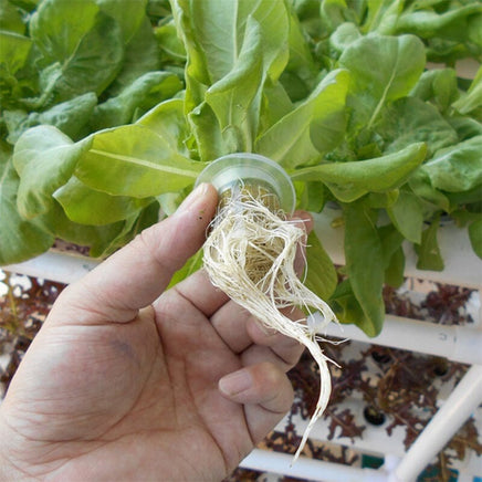 108 Plant Sites Hydroponic Grow Tool Kit Vegetable Garden Hydroponic Grow System Outdoor Kings Warehouse