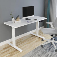 120cm Standing Desk Height Adjustable Sit Grey Stand Motorised Dual Motors Frame Birch Top Furniture Kings Warehouse