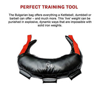 12kg Bulgarian Workout Power Bag Sports & Fitness Kings Warehouse