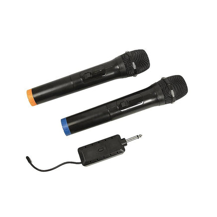 2 x Wireless Microphone Handheld Cordless Professional Mic Karaoke Receiver Audio & Video Kings Warehouse