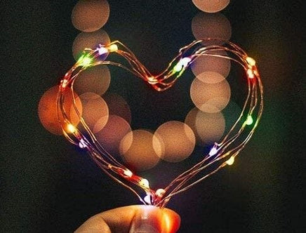 20m 200 LED Solar Powered Outdoor Lights with 8 Lighting Modes and Waterproof for Home,Garden and Decoration Kings Warehouse