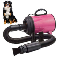 2800W Dog Dryer High Velocity Pet Dog Pet Blow Dryer Adjustable Speed 4 Nozzles Pet Care Kings Warehouse