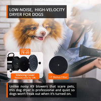 2800W Dog Dryer High Velocity Pet Dog Pet Blow Dryer Adjustable Speed 4 Nozzles Pet Care Kings Warehouse