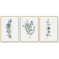 60cmx90cm Eucalyptus Plant 3 Sets Gold Frame Canvas Wall Art Kings Warehouse