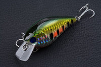 6x 8cm Popper Crank Bait Fishing Lure Lures Surface Tackle Saltwater Kings Warehouse 