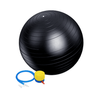 75cm Static Strength Exercise Stability Ball with Pump Sports & Fitness Kings Warehouse