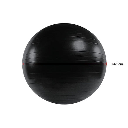 75cm Static Strength Exercise Stability Ball with Pump Sports & Fitness Kings Warehouse