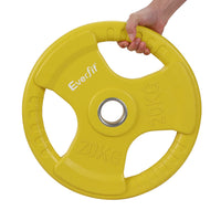 Weight Plates Standard 20kg Dumbbell Barbell Plate Weight Lifting Home Gym Yellow