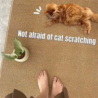 Ordinary Entrance Door Carpet 120x80cm Sole Cleaning Mats Sand and Dust Removal Washable