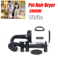 Pet Dog Cat Hair Dryer Grooming Blow Speed Hairdryer Blower Heater Blaster 2800W white