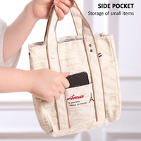 Portable 22*11.5*25cm Insulated Lunch Bag Food Container Picnic Storage Handbag