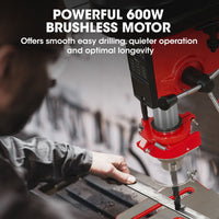 Baumr-AG DP15 600W 10" Pedestal Bench Drill Press, 12 Speeds, 16mm Chuck (DP15 II)