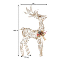Christabelle Light Up Christmas Reindeer Display Indoor & Outdoor Decoration Warm White LED Lights Gold Bow Wire Frame