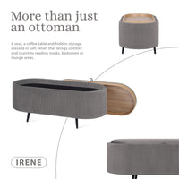 Coffee Table Storage Ottoman - Velvet Padded Blanket Box Bench IRENE GREY