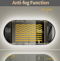 Interior Ave - LED Oval Frameless Salon / Bathroom Wall Mirror - 50 x 100cm