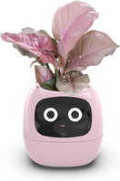 Intelligent Flower Pot, Electronic Bud, Maintenance Plant Assistant, Fun Interactive Flower Pot, Indoor Green Planting Monitoring, LCD Screen Display, Cell Phone APP Connection (Pink)