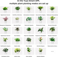 Intelligent Flower Pot, Electronic Bud, Maintenance Plant Assistant, Fun Interactive Flower Pot, Indoor Green Planting Monitoring, LCD Screen Display, Cell Phone APP Connection (Pink)