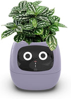 Intelligent Flower Pot, Electronic Bud, Maintenance Plant Assistant, Fun Interactive Flower Pot, Indoor Green Planting Monitoring, LCD Screen Display, Cell Phone APP Connection (Purple)