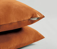 Twin-Pack Velvet Cushion Covers - Soft Microfibre Cushion Covers with Hidden Zipper (Terracotta, 65cm*65cm)
