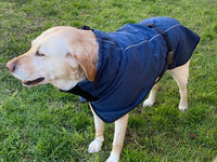 Pet Dog Raincoat Poncho Jacket Windbreaker Waterproof Clothes with Harness Hole-XS-Blue