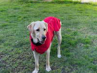 Pet Dog Raincoat Poncho Jacket Windbreaker Waterproof Clothes with Harness Hole-S-Black