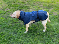 Pet Dog Raincoat Poncho Jacket Windbreaker Waterproof Clothes with Harness Hole-S-Blue