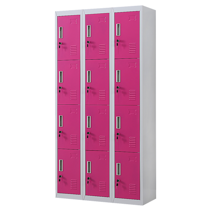 12-Door Locker for Office Gym Shed School Home Storage - Standard Lock with 2 Keys