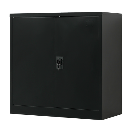 Two-Door Metal Short Cabinet Shelf Storage for Home Office Gym