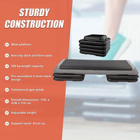 Aerobic Workout 4 Block Bench Step Sports & Fitness Kings Warehouse