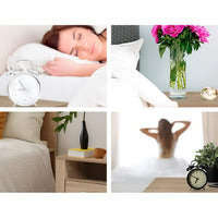 Artiss Bedside Table 2 Drawers with Shelf - TARA Oak Furniture Kings Warehouse