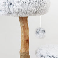 Catio "Pure" Double-level Cat Resort 50x50x75 cm Pet Care Kings Warehouse