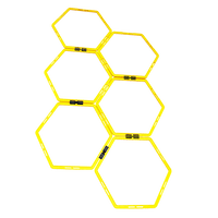 Fitness Agility Grid System Kings Warehouse