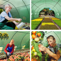 Green Fingers Greenhouse 6x3x2M Walk in Green House Tunnel Plant Garden Shed Dome Home & Garden Kings Warehouse