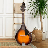 Karrera Traditional Mandolin - Sunburst Kings Warehouse