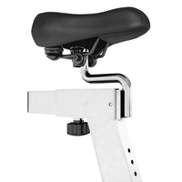 Lifespan Fitness SP-460 M2 Lifespan Fitness Spin Bike Sports & Fitness Kings Warehouse