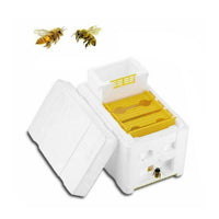 Mini Mating Box Queen Bee Rearing Plastic Styrene Foam Hive Harvest Copulation Home & Garden Kings Warehouse 
