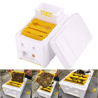 Mini Mating Box Queen Bee Rearing Plastic Styrene Foam Hive Harvest Copulation Home & Garden Kings Warehouse 