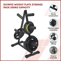 Olympic Weight Plate Storage Rack 250kg Capacity Kings Warehouse 