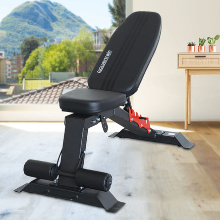 Powertrain Home Gym Adjustable Dumbbell Bench Kings Warehouse