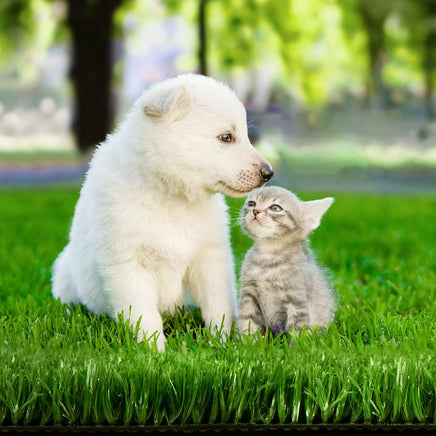 Prime Turf Artificial Grass Synthetic 20 SQM Fake Lawn 17mm 1X10M Home & Garden Kings Warehouse