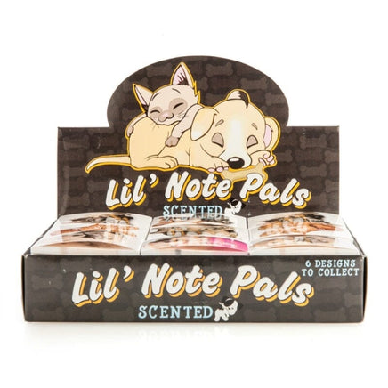 Scented Sticky Notes (CHOSEN AT RANDOM) Kings Warehouse